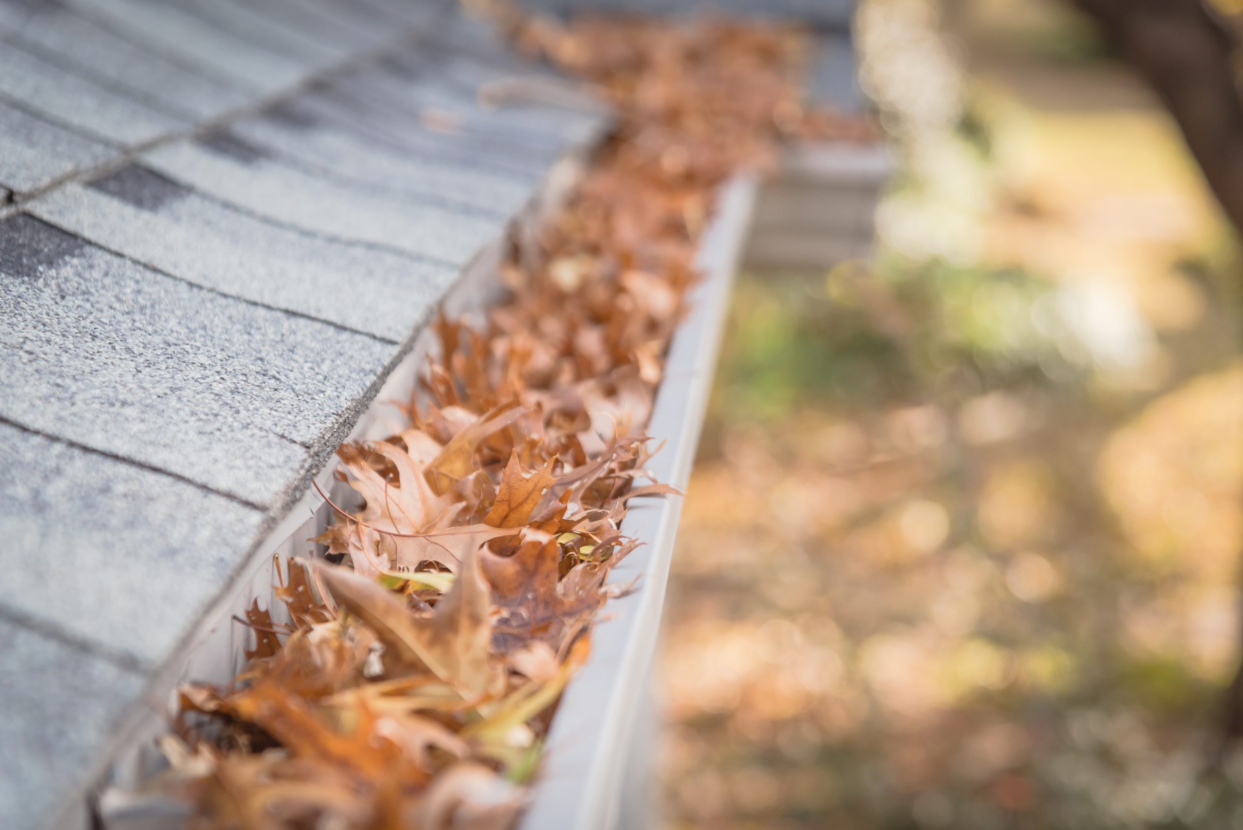 gutter cleaning